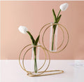 Nordic Retro Hydroponic Glass Vase with Golden Metal Stand for Home Decor Vael Decor