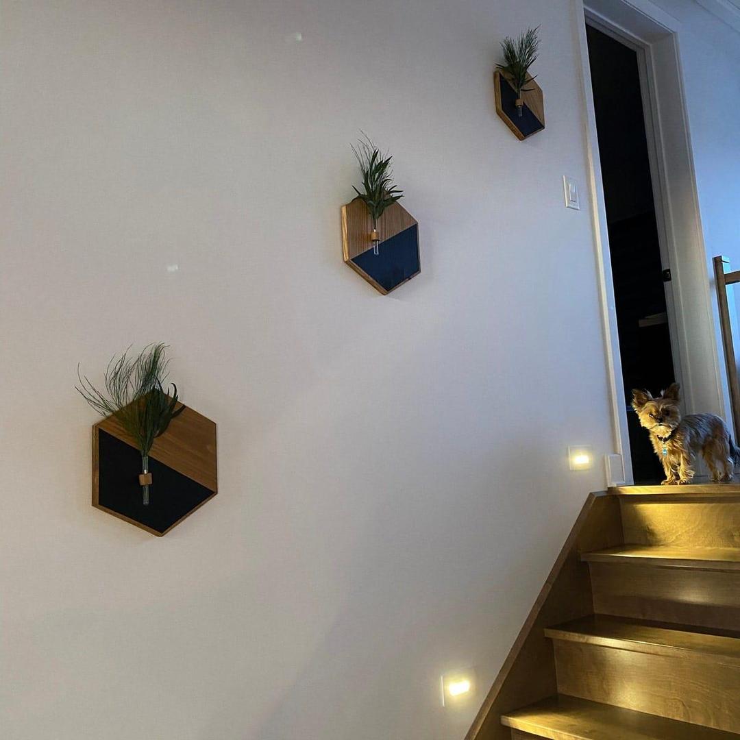 Set of 2 Wooden Wall Planters | MDF Floating Plant Holders for Home Decor Vael Decor